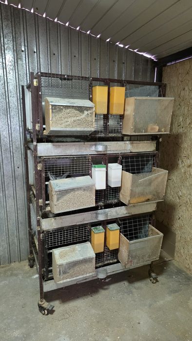 Клетки для кроликов