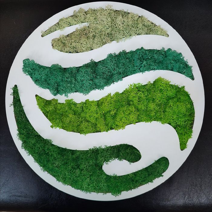 Картини/пана и др.със скандинавски мъх