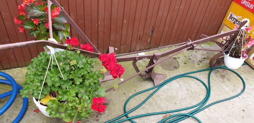 De vanzare pentru cunoscatori