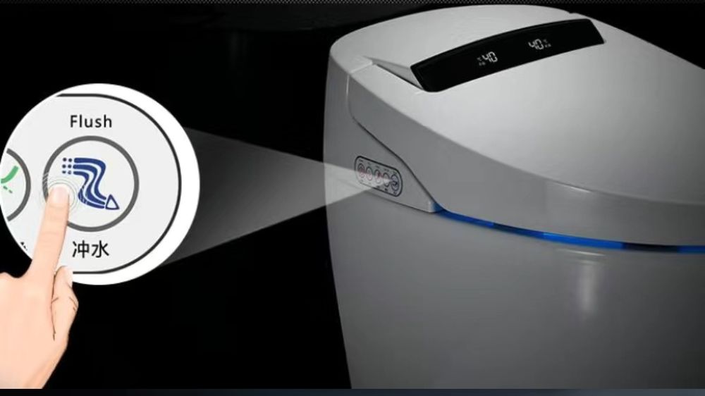 Унитаз с подогревом и мойка биде