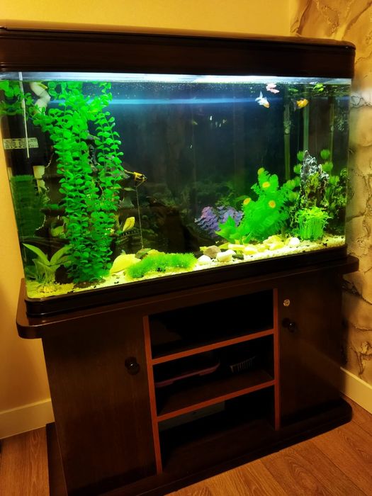 Аквариум со всем всем всем..