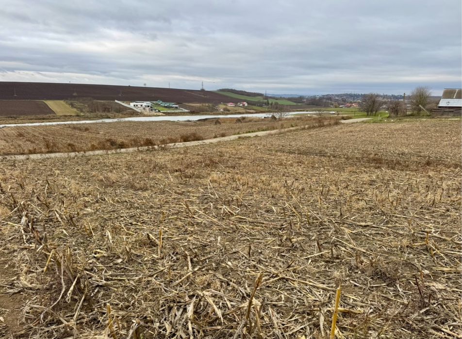 5000 mp Teren intravilan