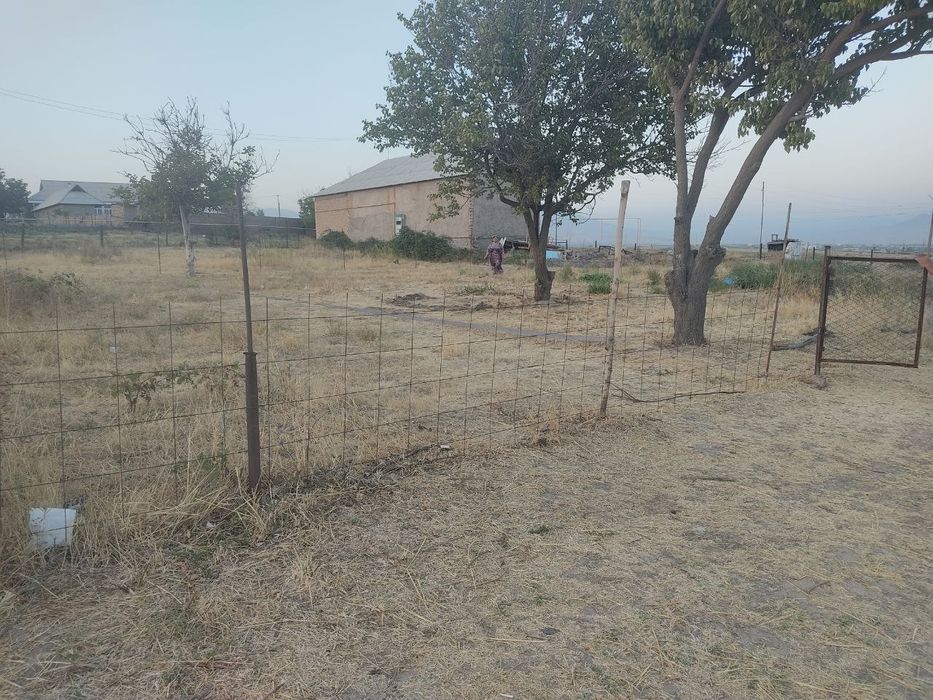 Geolog maxallasida yer maydoni