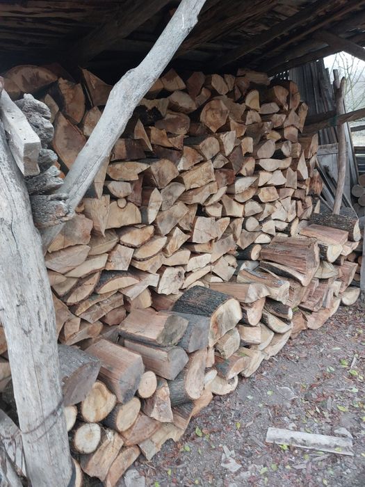 Lemn de foc de esență tare