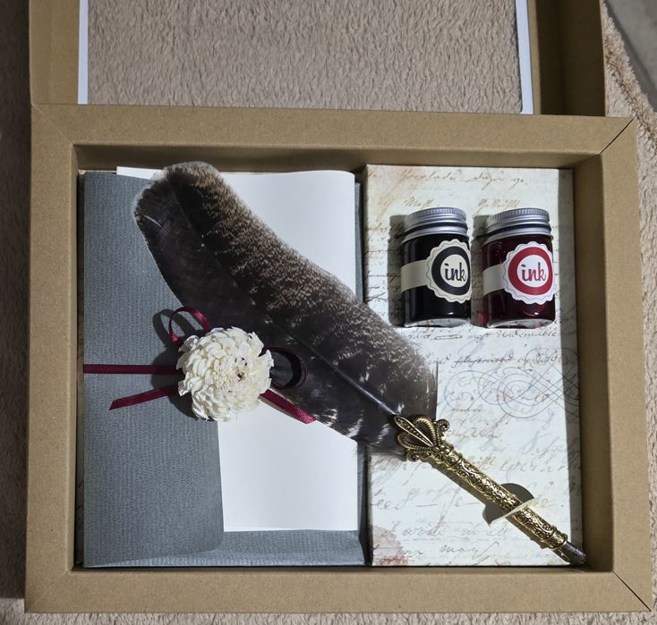 Set caligrafie cu pana