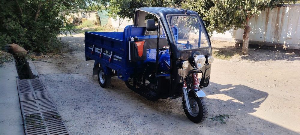 2024cavalo matatsekil