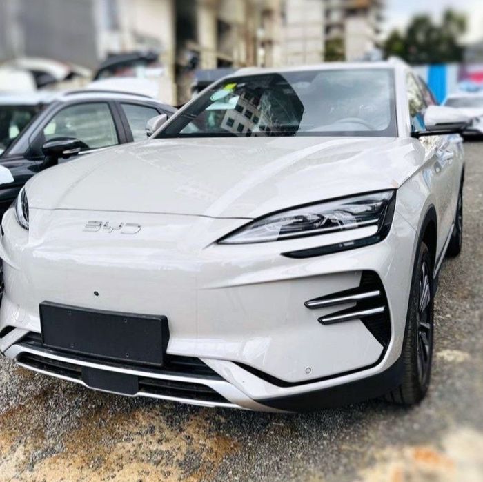 Byd champion чампион