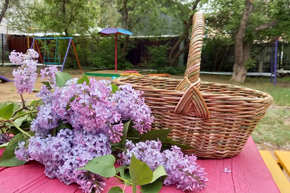 Плетеные корзины