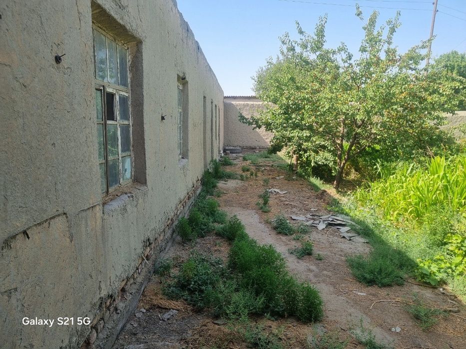 Hovli tezda sotiladi kelishamiz