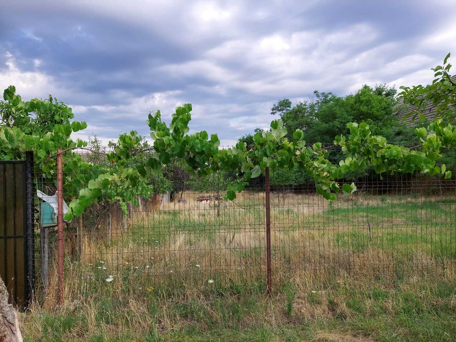 Casa de vanzare Arad