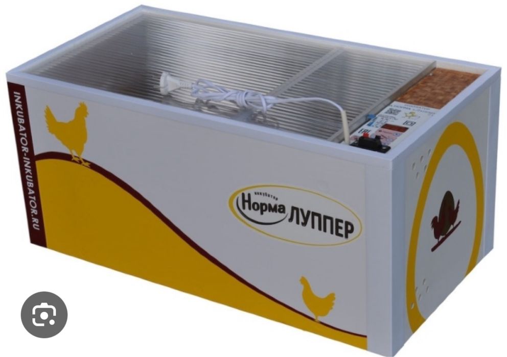 Инкубатор Блиц норма луппер сатылады сост жақсы