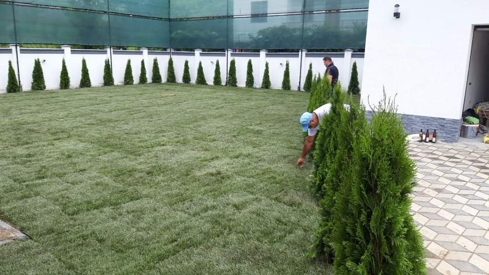 Piatra naturala, Plante ornamentale și rulou de gazon.