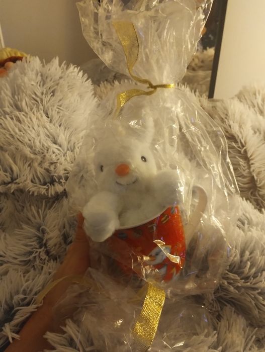 Vand cana de Craciun cu jucarie noi -cadou