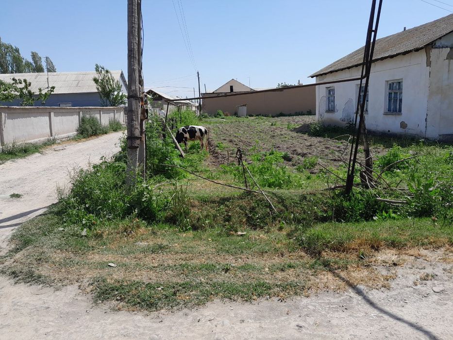 Участка 45 сотик