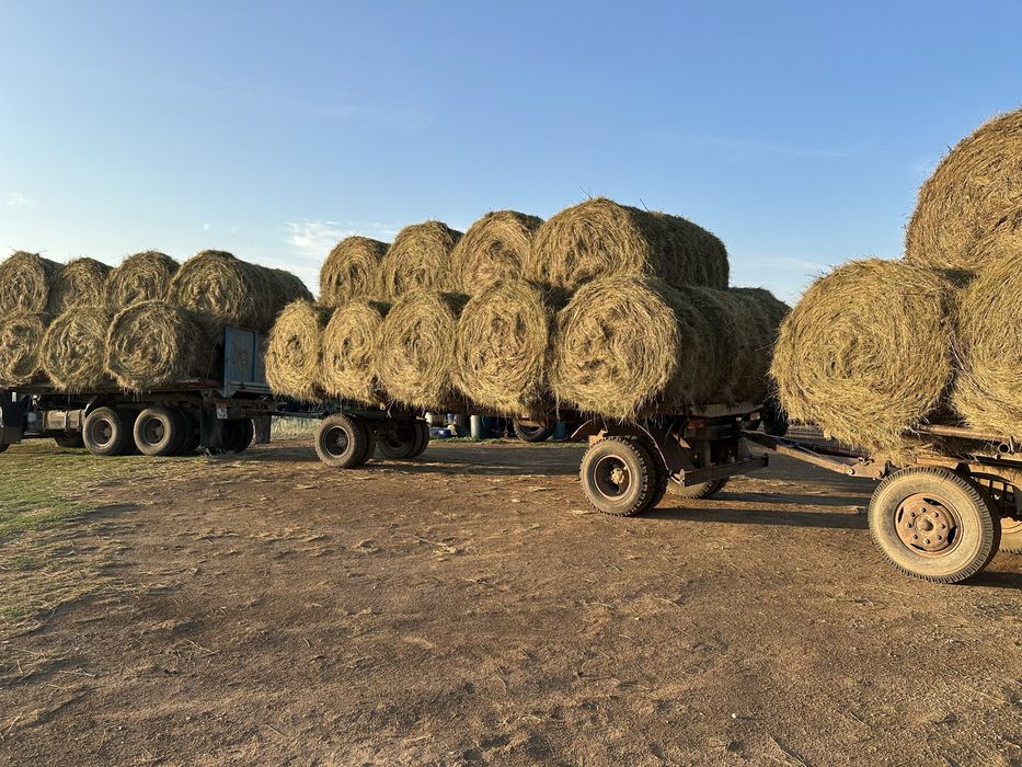 Прицеп сеновозка ОДАЗ