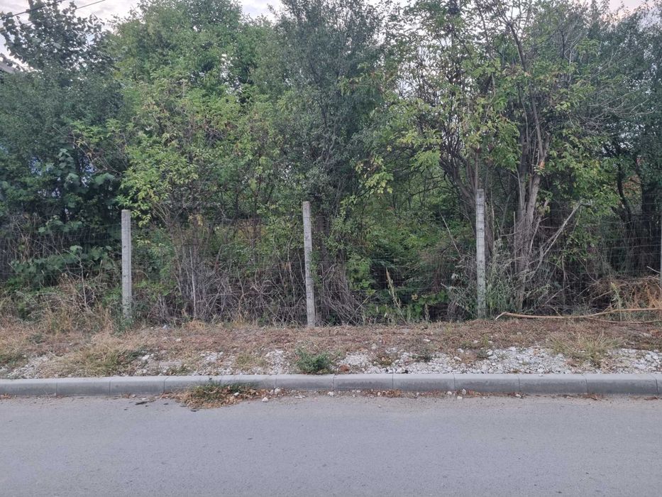 Професионални градинарски услуги
Предлагаме: