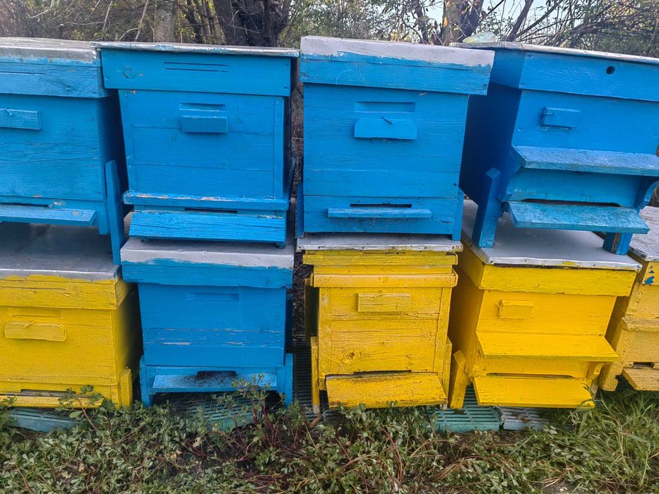 Продавам 13 празни кошери Даданблат