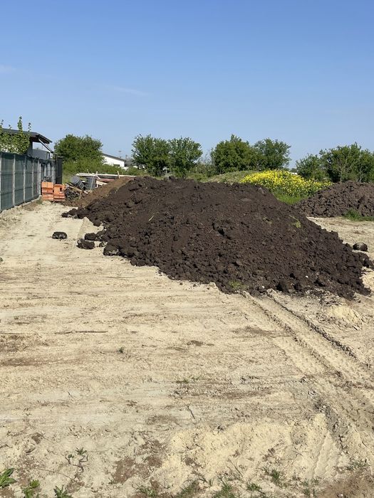 Pământ negru vegetal