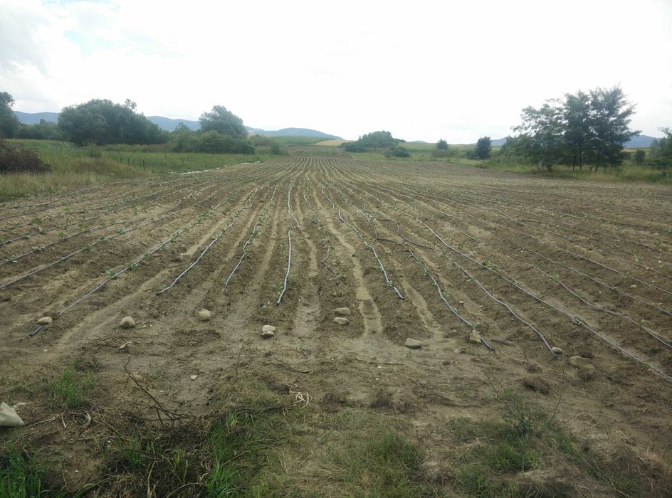 Teren agricol / ferma/ balastiera