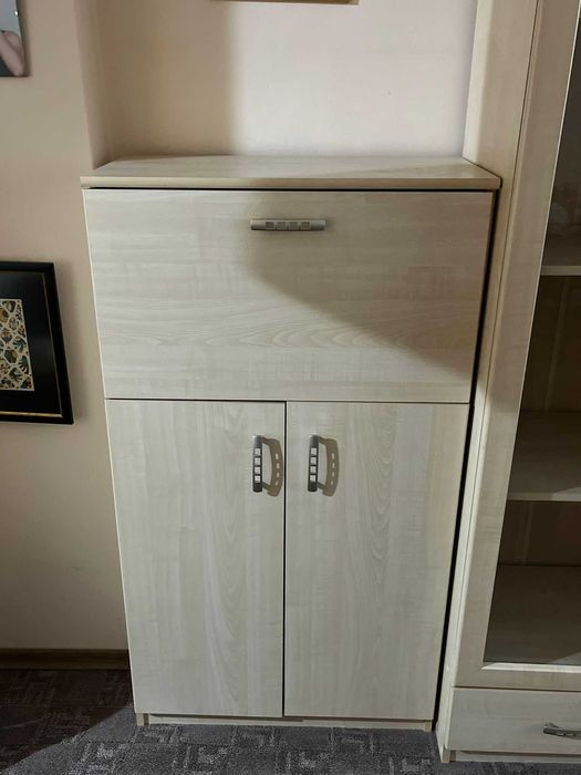 Холна Секция (Бежова)