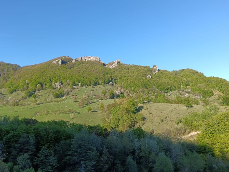 Teren Poiana Lunga,Cornereva