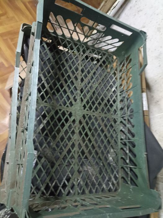 Продам пластиковые ящики.