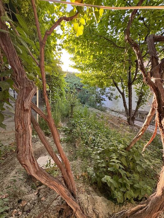 ВДОЛЬ ДОРОГИ.Срочно продаётся дом.