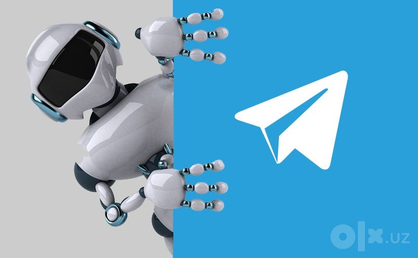 Создам Telegram-бота под ключ. Заявки, запись, Payme/Click. От 800 000