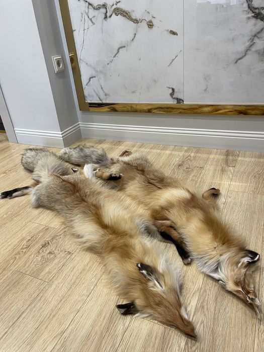 Воротник лисы