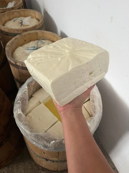 Vand telemea de oaie