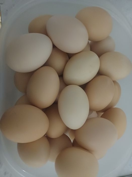 яйца домашние очень вкусные