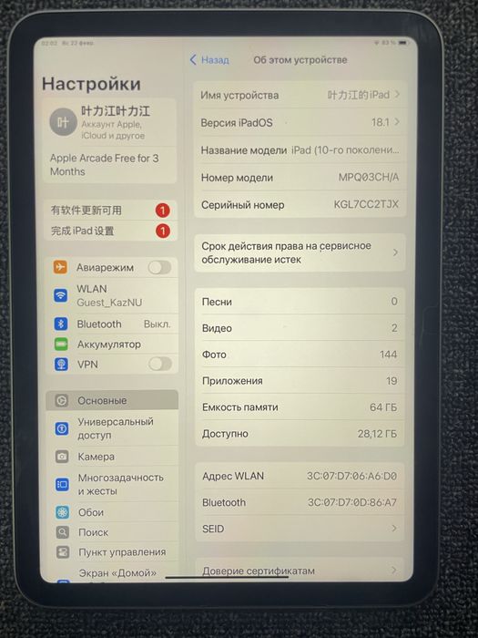 iPad 10 (iPadOS 18.1)