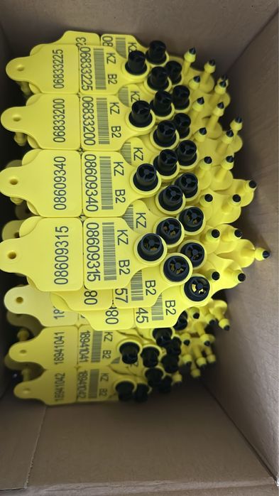 Чип для животных и ушные бирки