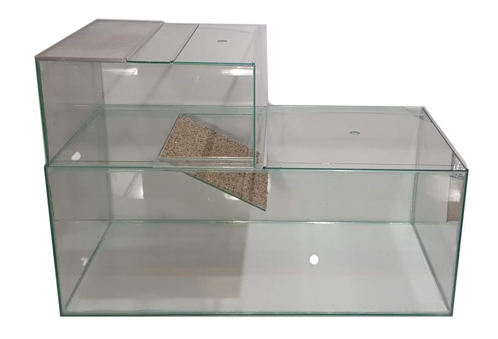 Terariu, paludariu, vivariu la comanda pentru reptile, plante