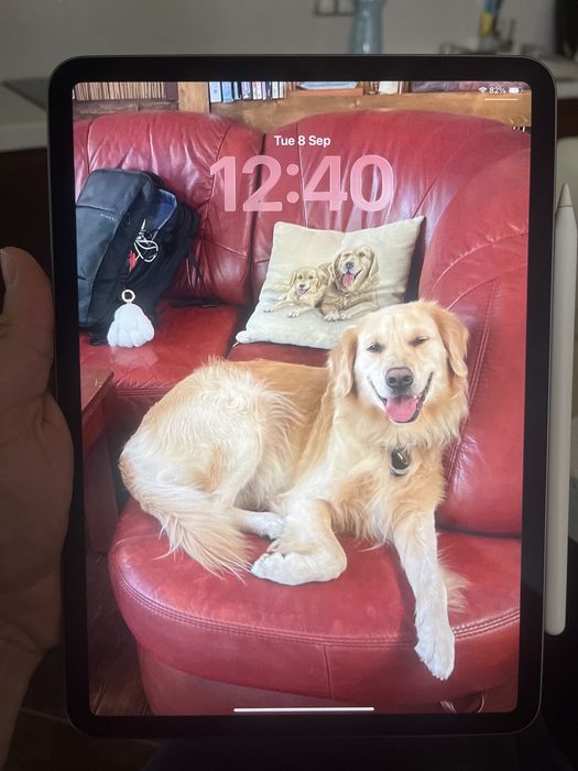 Ipad pro 3 m1 chip 128gb wifi only