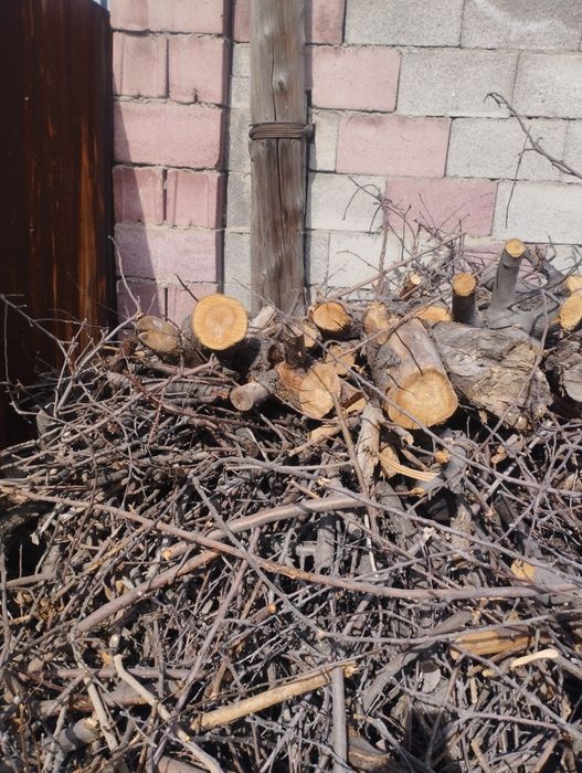 Дрова бесплатно самовывоз