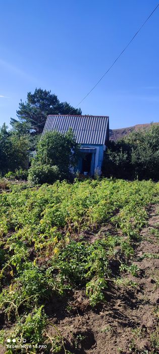 Дача СПП под телевышкой