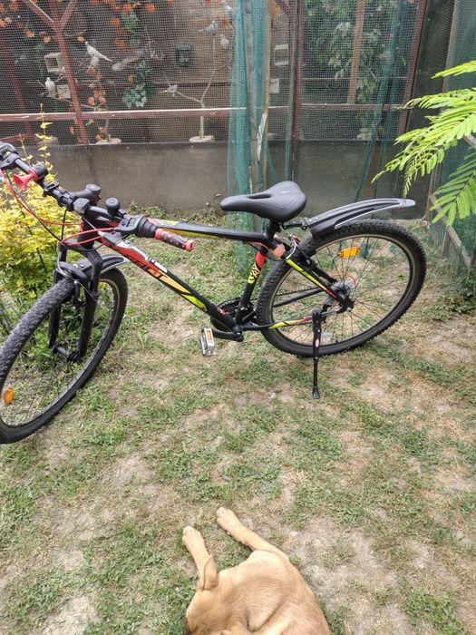 Bicicleta Hervis