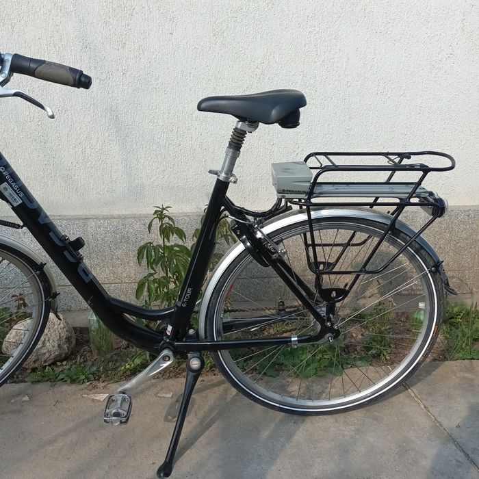 Bicicleta electrica Pegasus