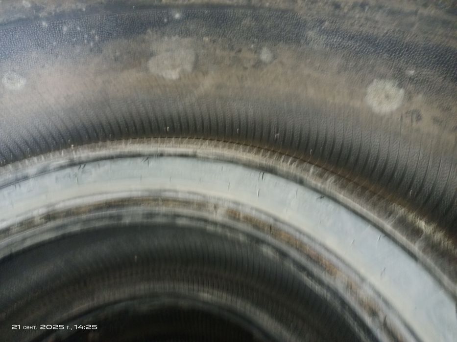 Шипы дөңгелек сатамын