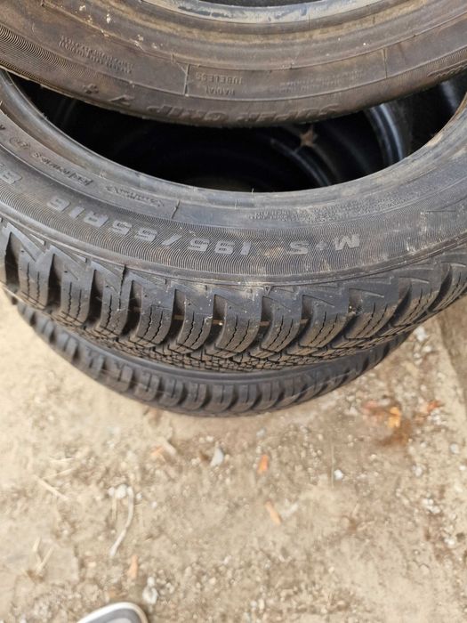 Anvelope iarna 195 55 16 MS