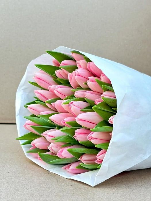 Тюльпаны оптом и в розницу.