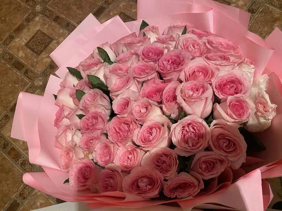 Продам цветы  розаа