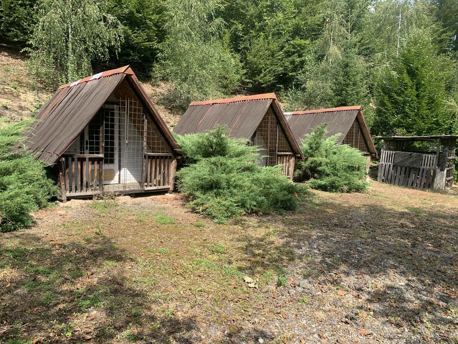 Vind casa de vacanta cu trei casute si pescarie