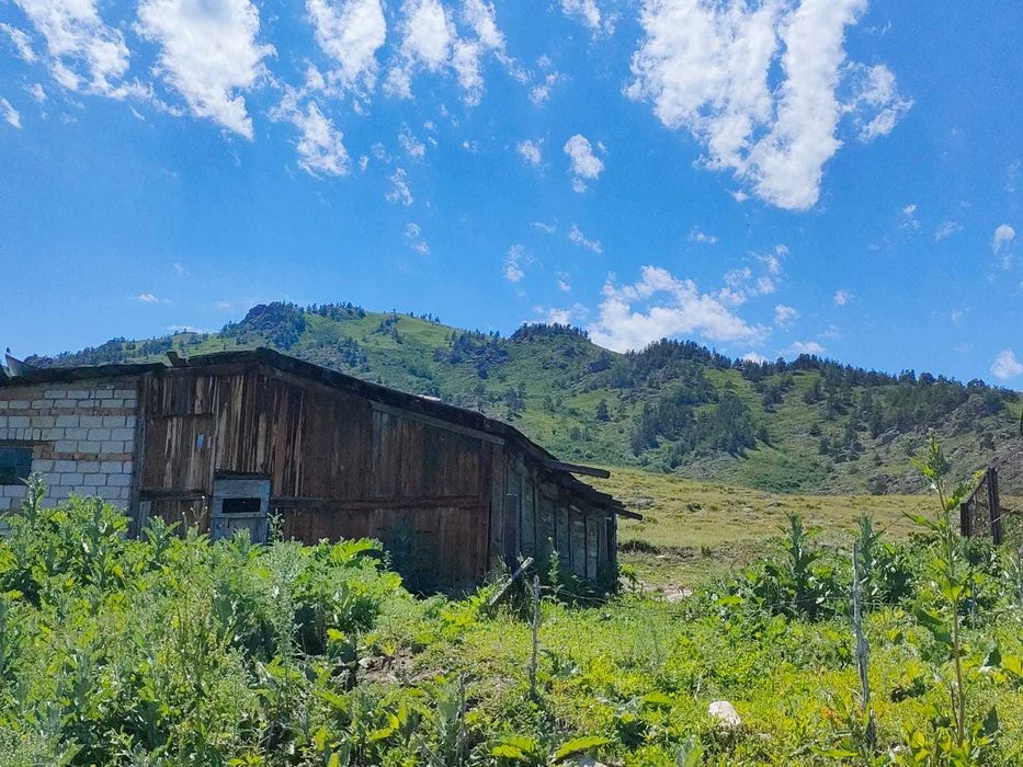 дом для вашей семьи