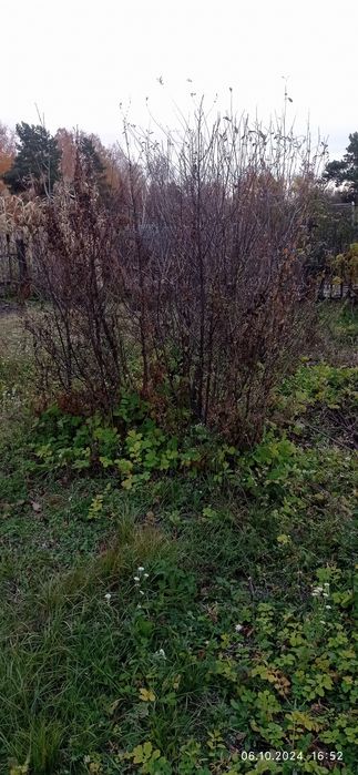 Продам отличную дачу!