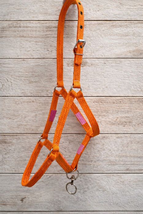 Атқа арналған ноқталар