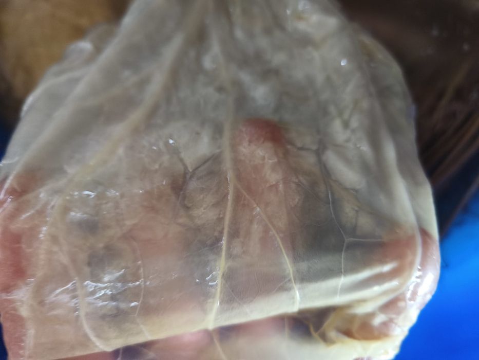 Vand varza murata,10 lei kg pret negociabil de la 100kg