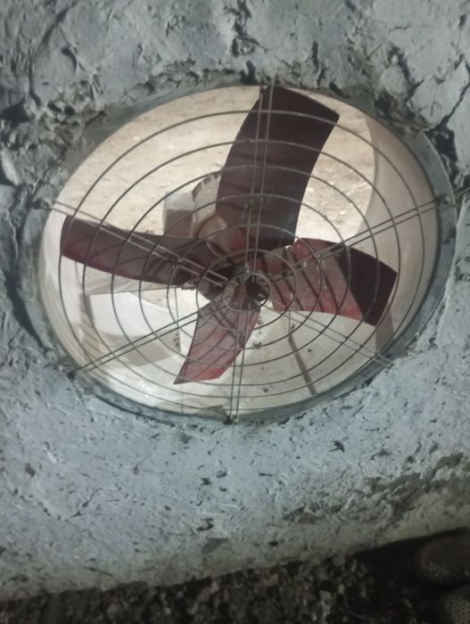 Vintilyator havoni soʻradigan kafolat bor
