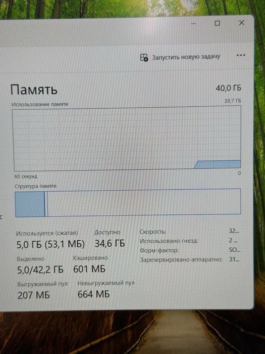 Asus vivobook intel core i3-12